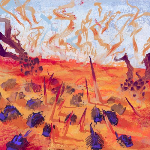 Disaster Field