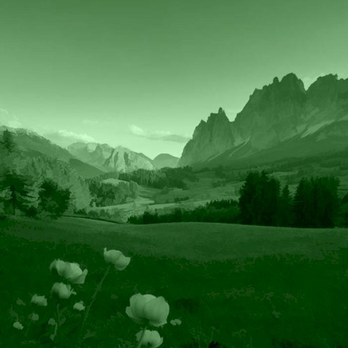 GREEN 14