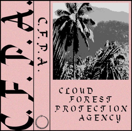 C.F.P.A.