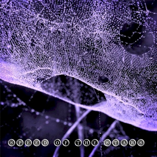 Speed of the Stars
