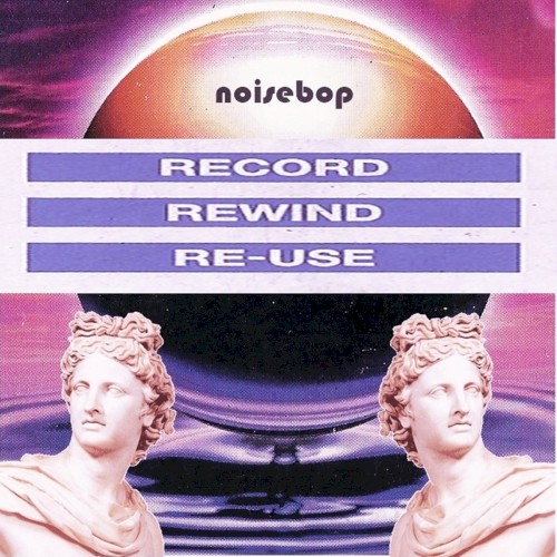 Record Rewind Reuse