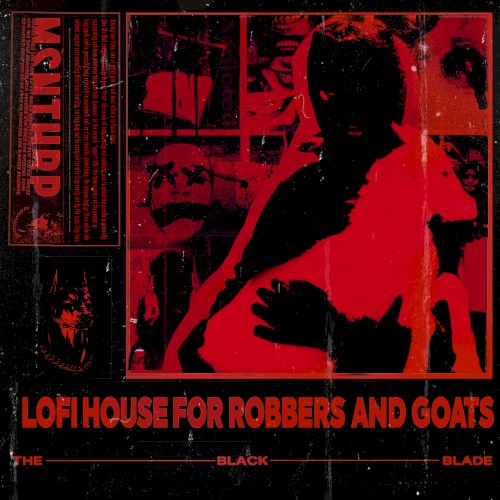 LOFI HOUSE FOR ROBBERS AND GOATS