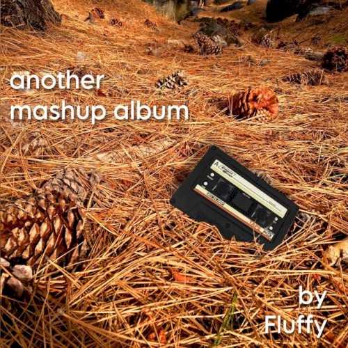 another mashup album