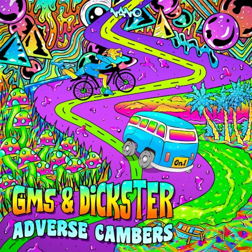 Adverse Cambers