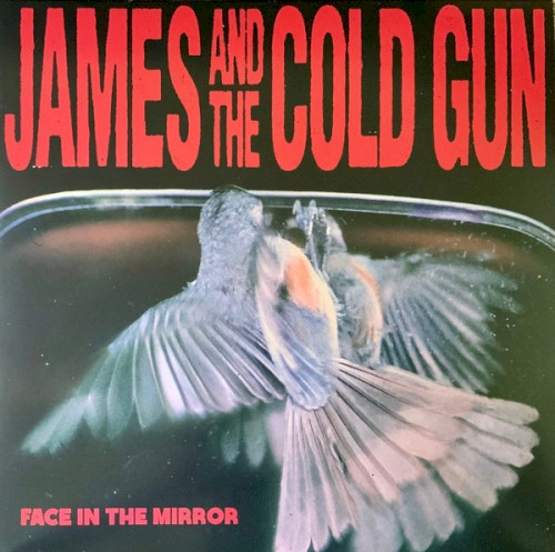 Face in the Mirror