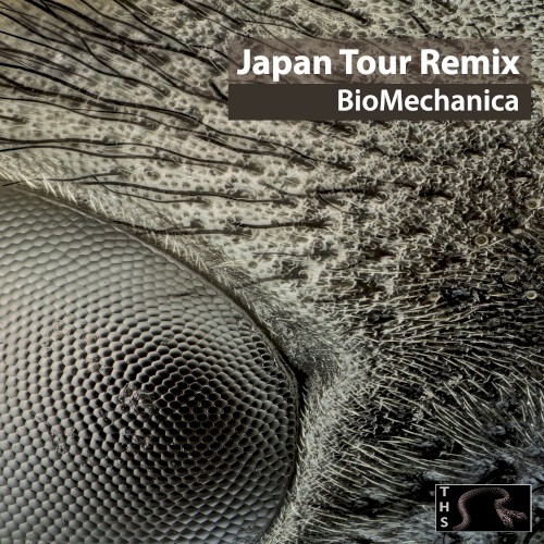 Japan Tour Remix