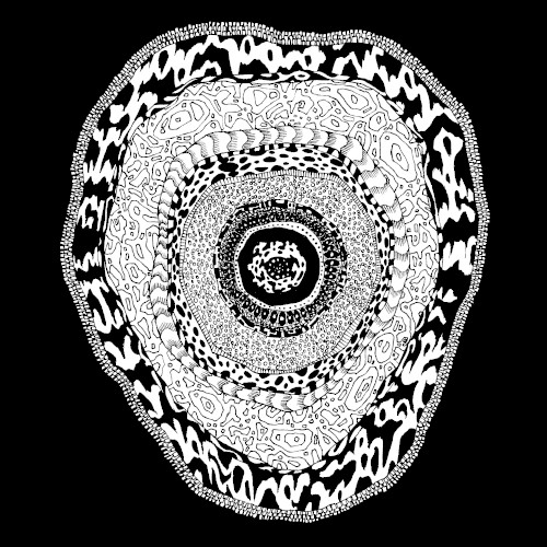 Flower of Cane