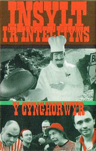 Insylt i’r Intelijyns