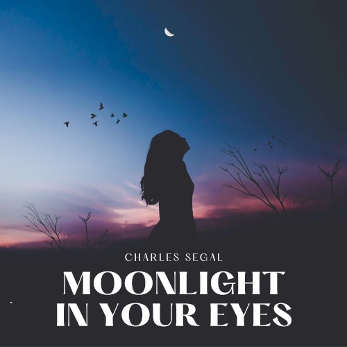 Moonlight in Your Eyes
