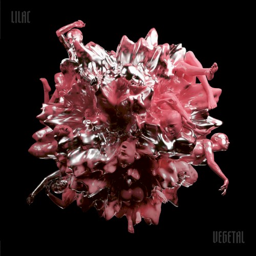 Lilac Vegetal