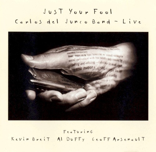 Just Your Fool