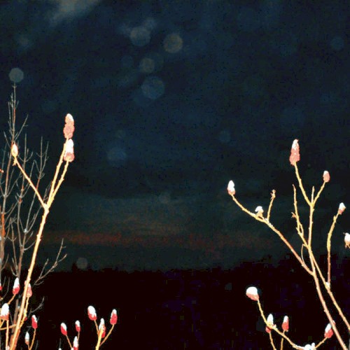Where the Wind Blows Through You - Eledin Cut
