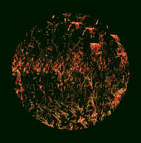 La Luna