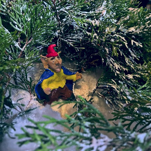 The Sceret Lives of Elves in Winter