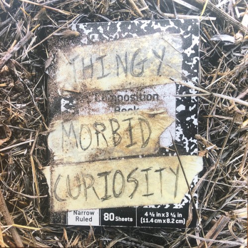 Morbid Curiosity