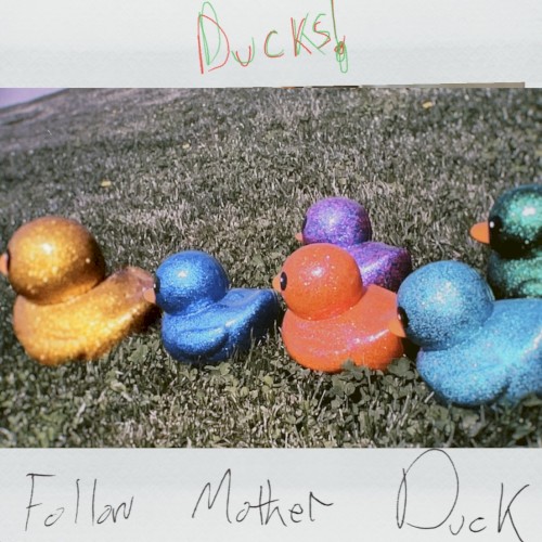 Follow Mother Duck
