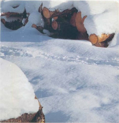 Harde Winters Anno 1982