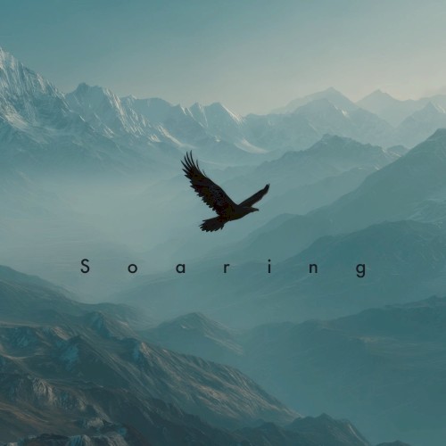 Soaring