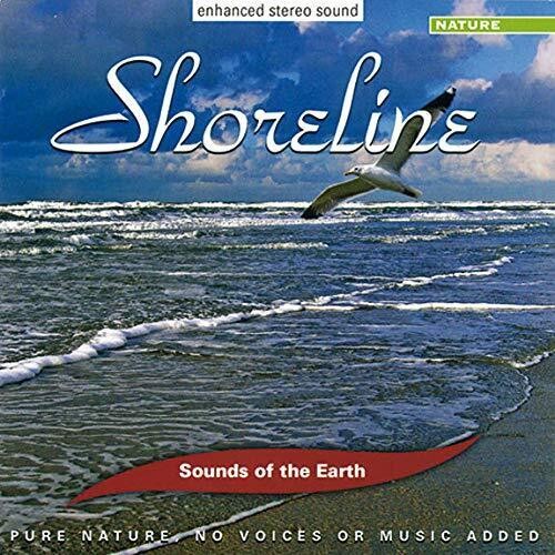 Shoreline