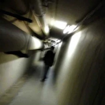 Level 2