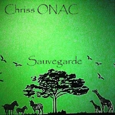 Sauvegarde