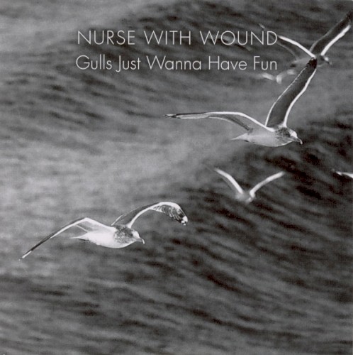 Gulls Just Wanna Have Fun