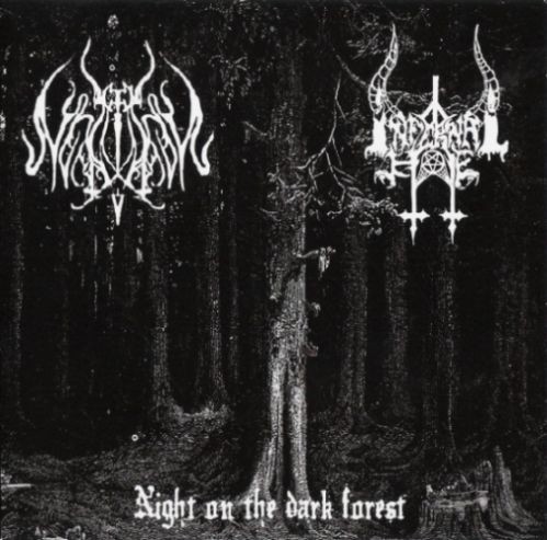 Night on the Dark Forest