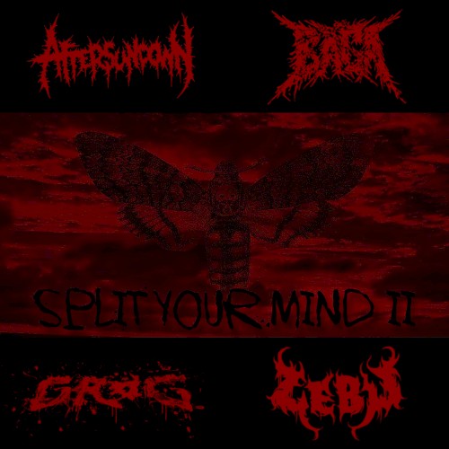 Split Your Mind II