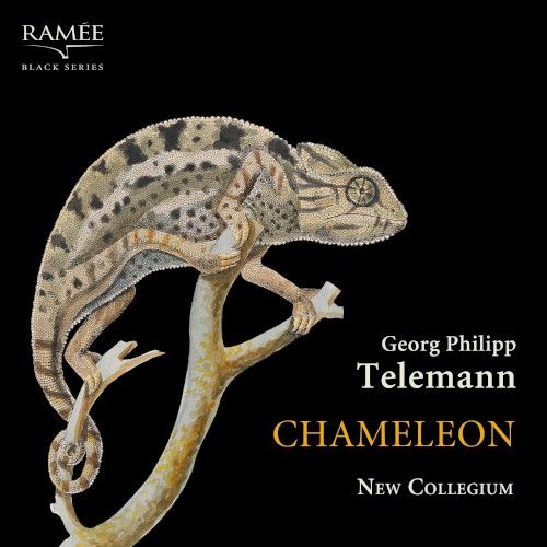 Chameleon