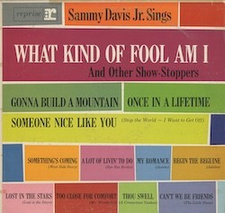What Kind of Fool Am I: And Other Show‐Stoppers