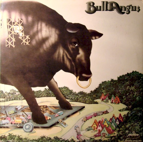 Bull Angus