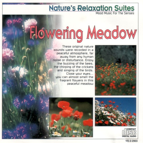 Nature’s Relaxation Suites: Flowering Meadow