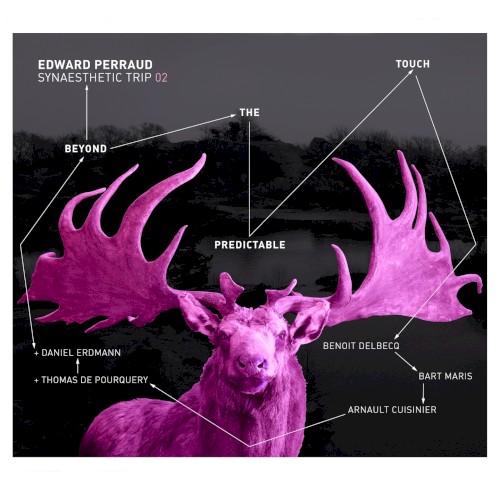 Synaesthetic Trip 02: Beyond the Predictable Touch