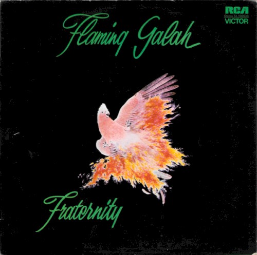 Flaming Galah