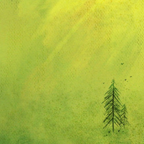 Nature Rebuilding