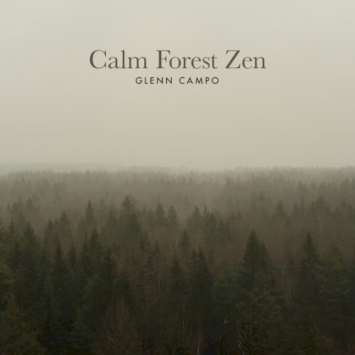 Calm Forest Zen