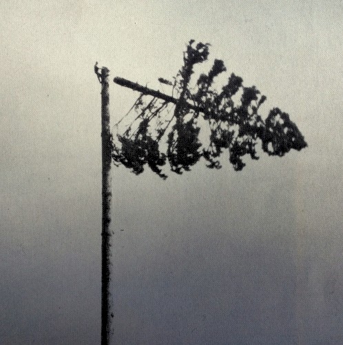 Decay