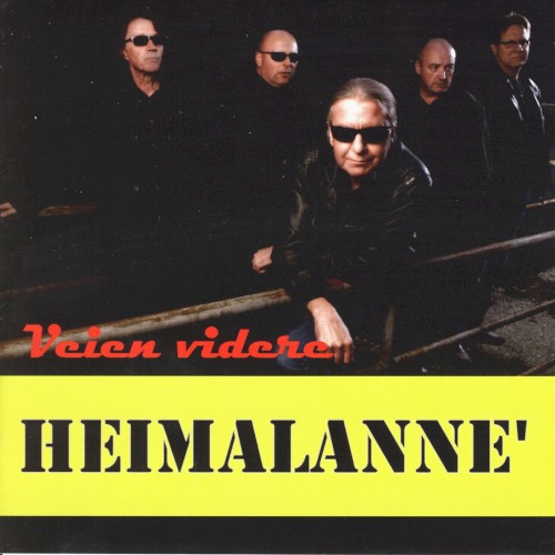 Veien videre