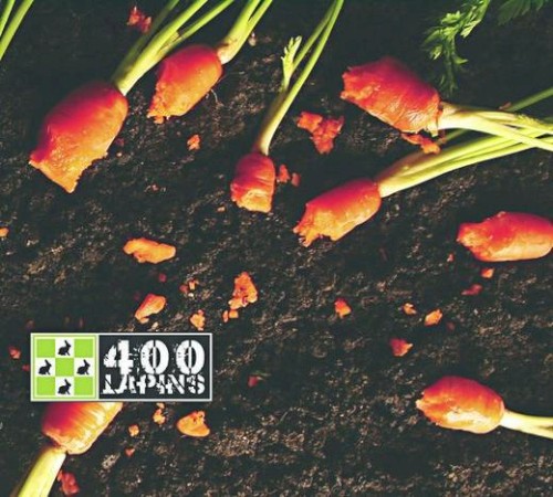 400 Lapins