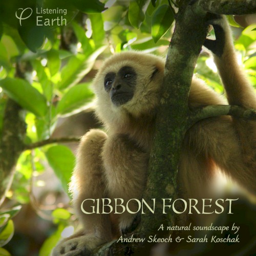 Gibbon Forest
