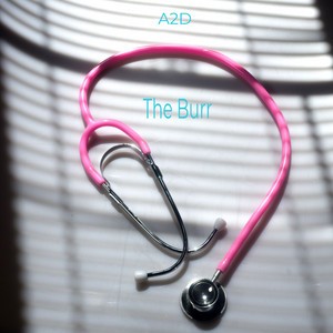 The Burr
