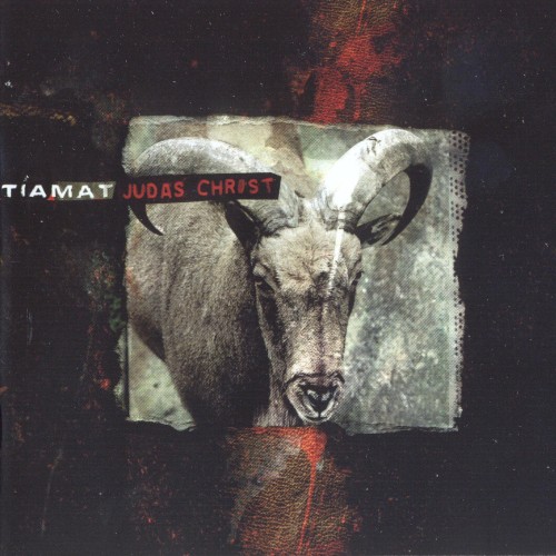 Judas Christ