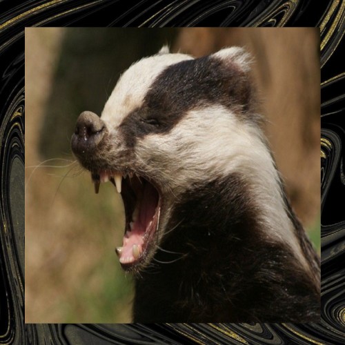 Beats you can only listen to angrier