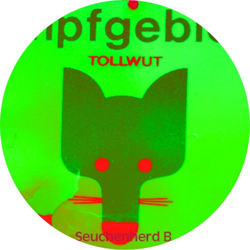 Tollwut (Seuchenherd B)