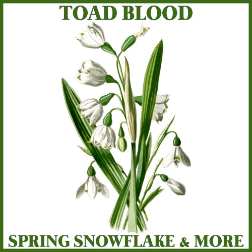 Spring Snowflake & More
