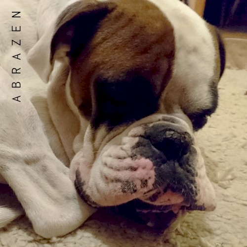 A B R A Z E N