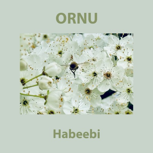 Habeebi
