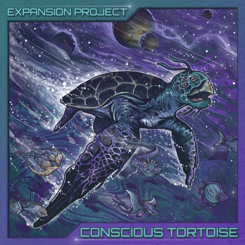 Conscious Tortoise