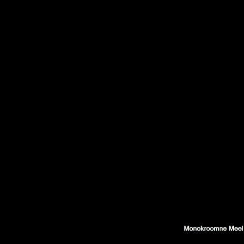 Monokroomne meel