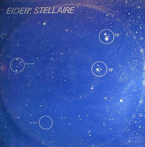 Eider Stellaire
